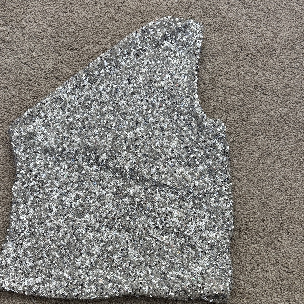 Zara Silver Sequin Top